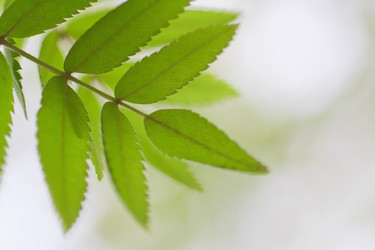 Similar image 781240