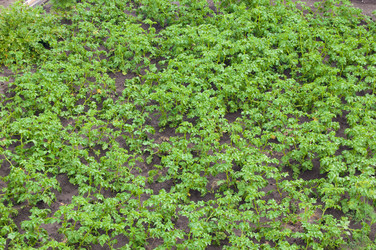 Similar image 781251