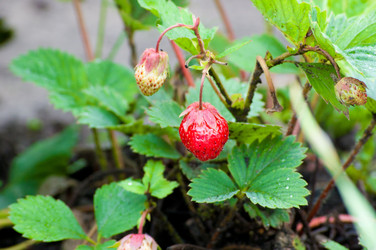 Similar image 781255