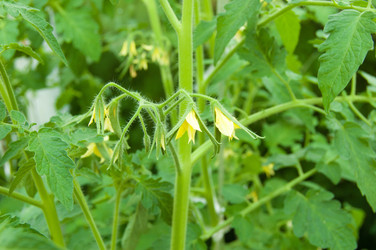 Similar image 781262