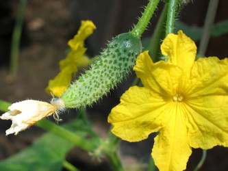 Similar image 781263