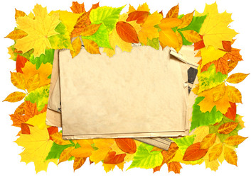 Similar image 781306