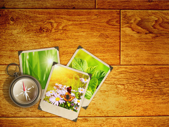 Similar image 781322