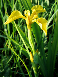 Similar image 781395