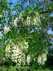 Similar image 781400