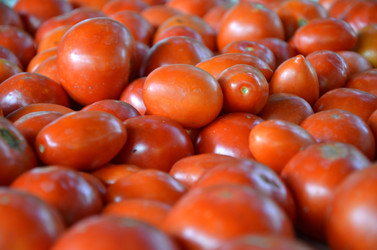 Similar image 781425