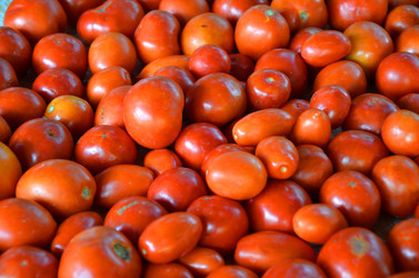 Similar image 781426