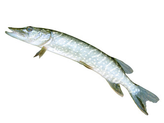 Similar image 781427