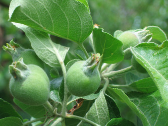 Similar image 781429