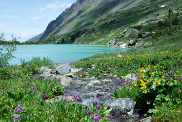 Similar image 781455