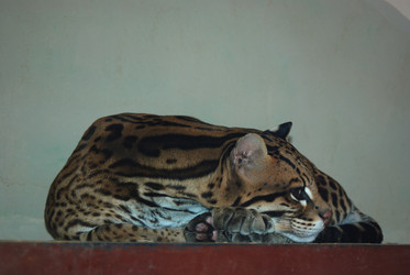 Similar image 781467