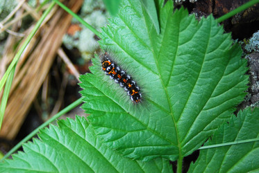 Similar image 781477