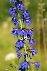 Similar image 781480