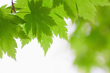 Similar image 781548