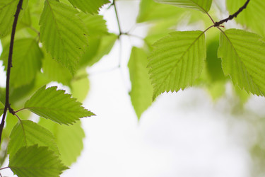 Similar image 781549