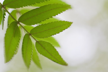 Similar image 781550