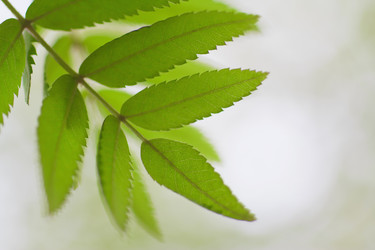 Similar image 781551