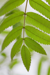 Similar image 781552