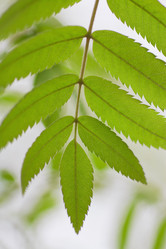 Similar image 781553