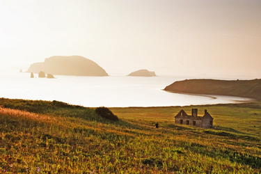 Similar image 781599