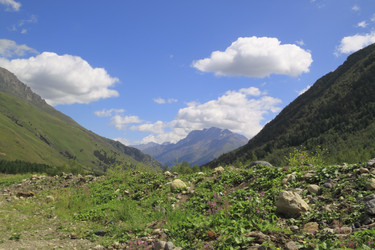 Similar image 781620