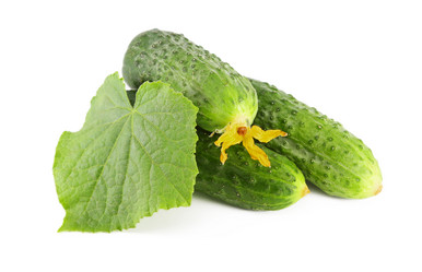 Similar image 781656