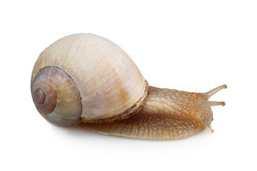 Similar image 781673