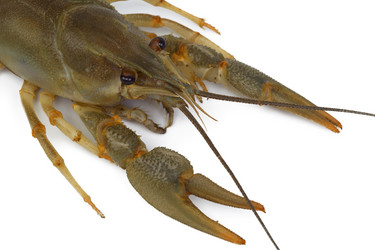 Similar image 781680