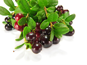 Similar image 781692