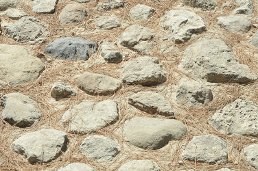 Similar image 781782