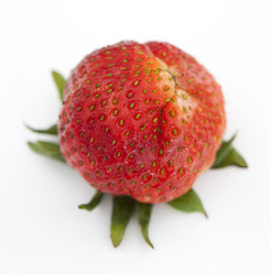 Similar image 781788