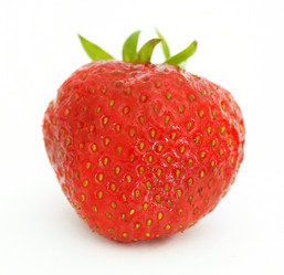 Similar image 781790