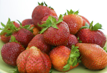 Similar image 781834