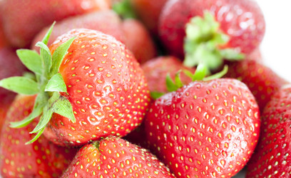 Similar image 781841