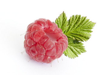 Similar image 781853