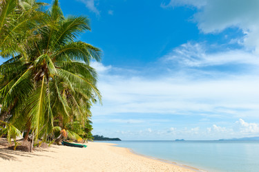 Similar image 781859