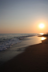 Similar image 781890