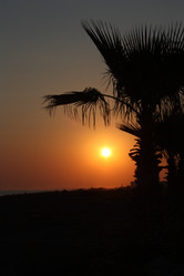 Similar image 781891