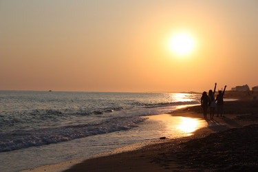 Similar image 781892