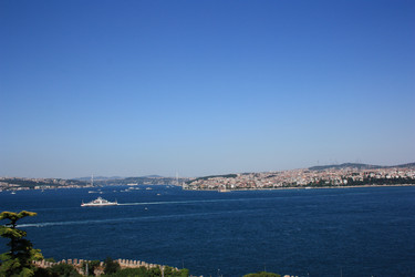 Similar image 781913