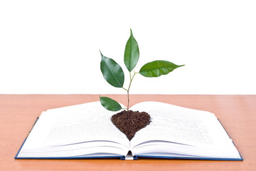 Similar image 781939