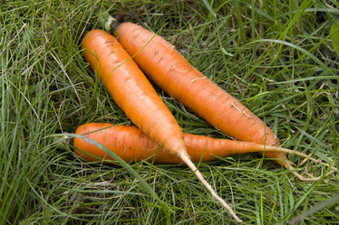 Similar image 781966