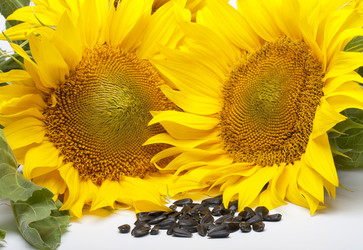 Similar image 781970