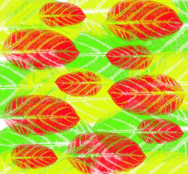 Similar image 781974