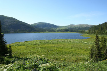 Similar image 781994