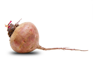 Similar image 782075