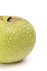 Similar image 782109