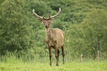 Similar image 782134