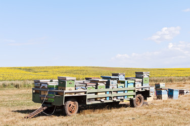 Similar image 782406