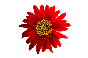 Similar image 782414